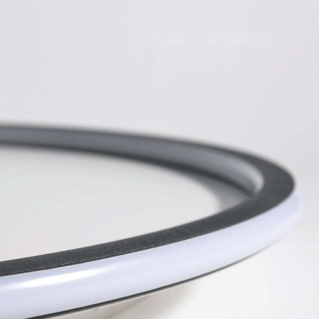 Quinn Modern Round LED Ceiling Light Metal/Acrylic