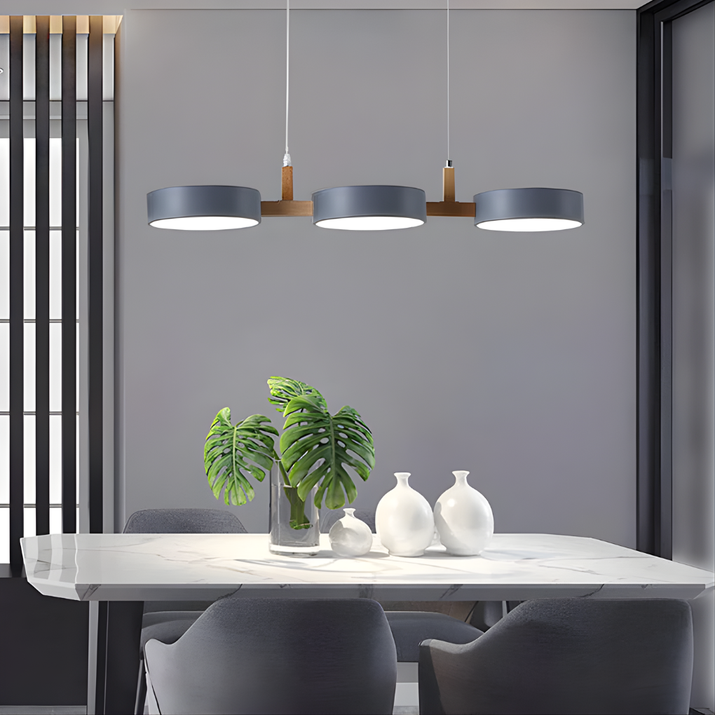 Modern Metal Ceiling Lamp