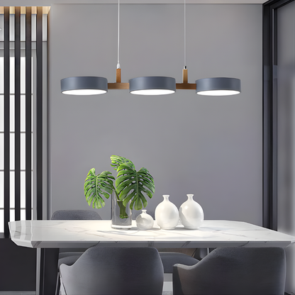 Modern Metal Ceiling Lamp