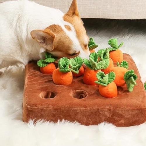 PlayPET – Carrot Plush Chew Toy for Dogs Snuffle Toy