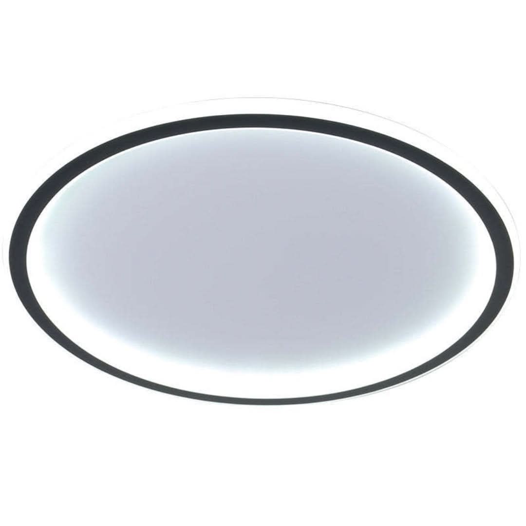 Quinn Modern Round LED Ceiling Light Metal/Acrylic
