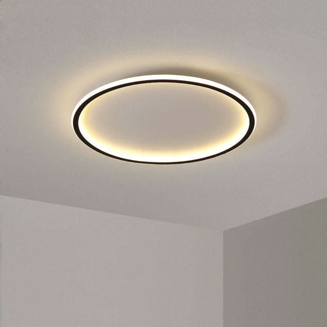 Quinn Modern Round LED Ceiling Light Metal/Acrylic