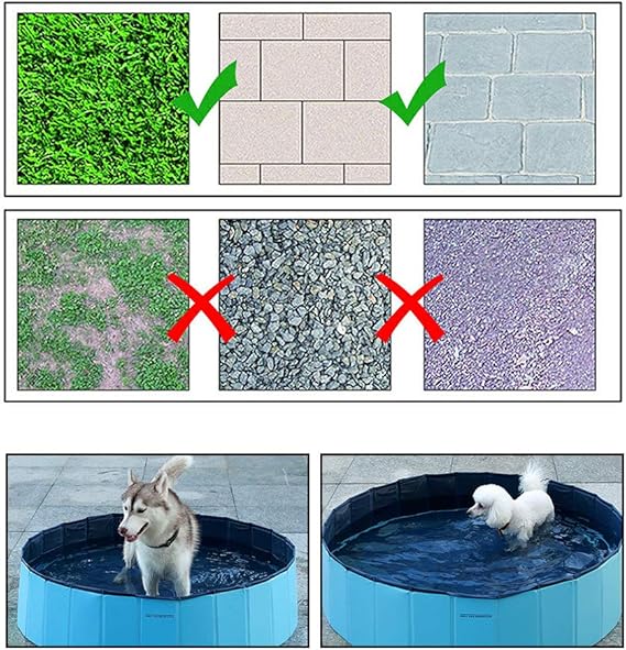 AquaPETS - Sturdy and Compact Dog Pool