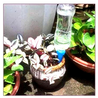 Automatic Plant Watering Spikes (Pack of 12) – Garden Helper with Adjustable Flow