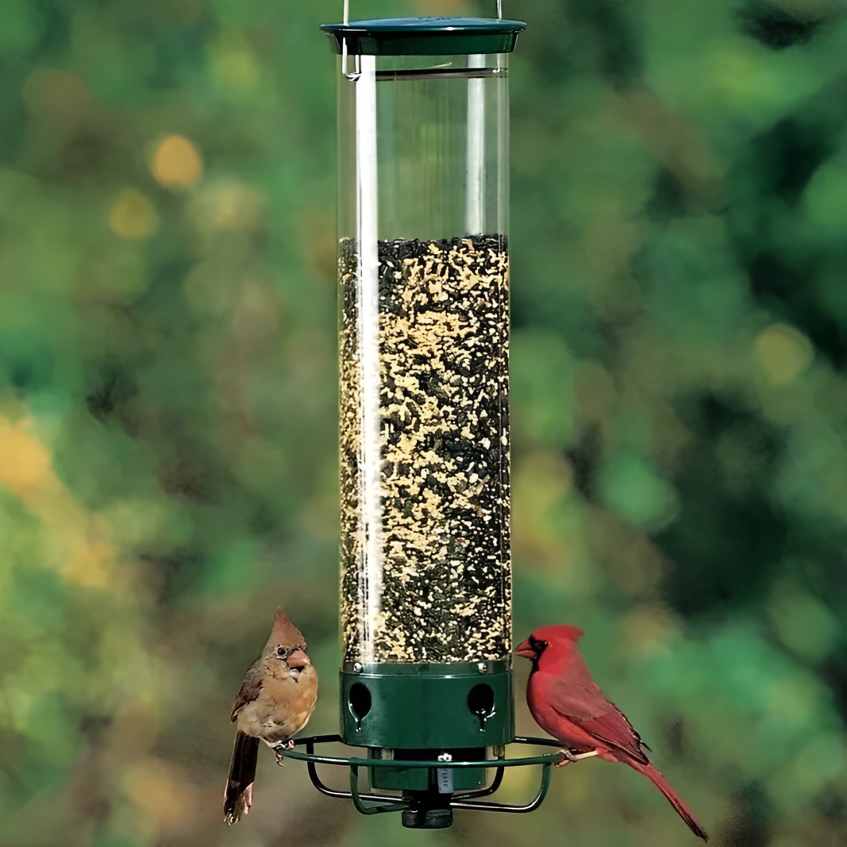 GardenGuard Bird Feeder Hanger – Safe and Durable