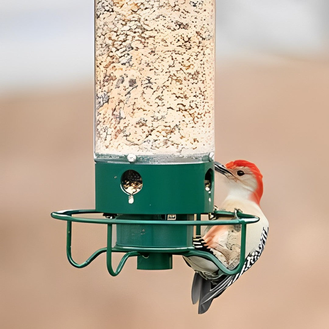 GardenGuard Bird Feeder Hanger – Safe and Durable