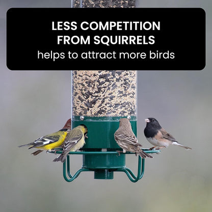 GardenGuard Bird Feeder Hanger – Safe and Durable