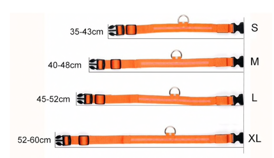 HondVeilig Pro - LED Dog Collar - Feel Safe and Stylish While Walking Your Dog