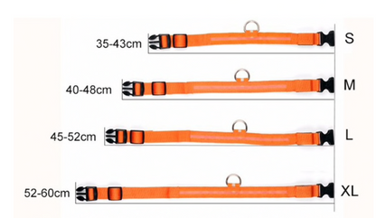 HondVeilig Pro - LED Dog Collar - Feel Safe and Stylish While Walking Your Dog