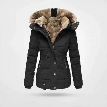 Waterproof Winter Jacket for Men