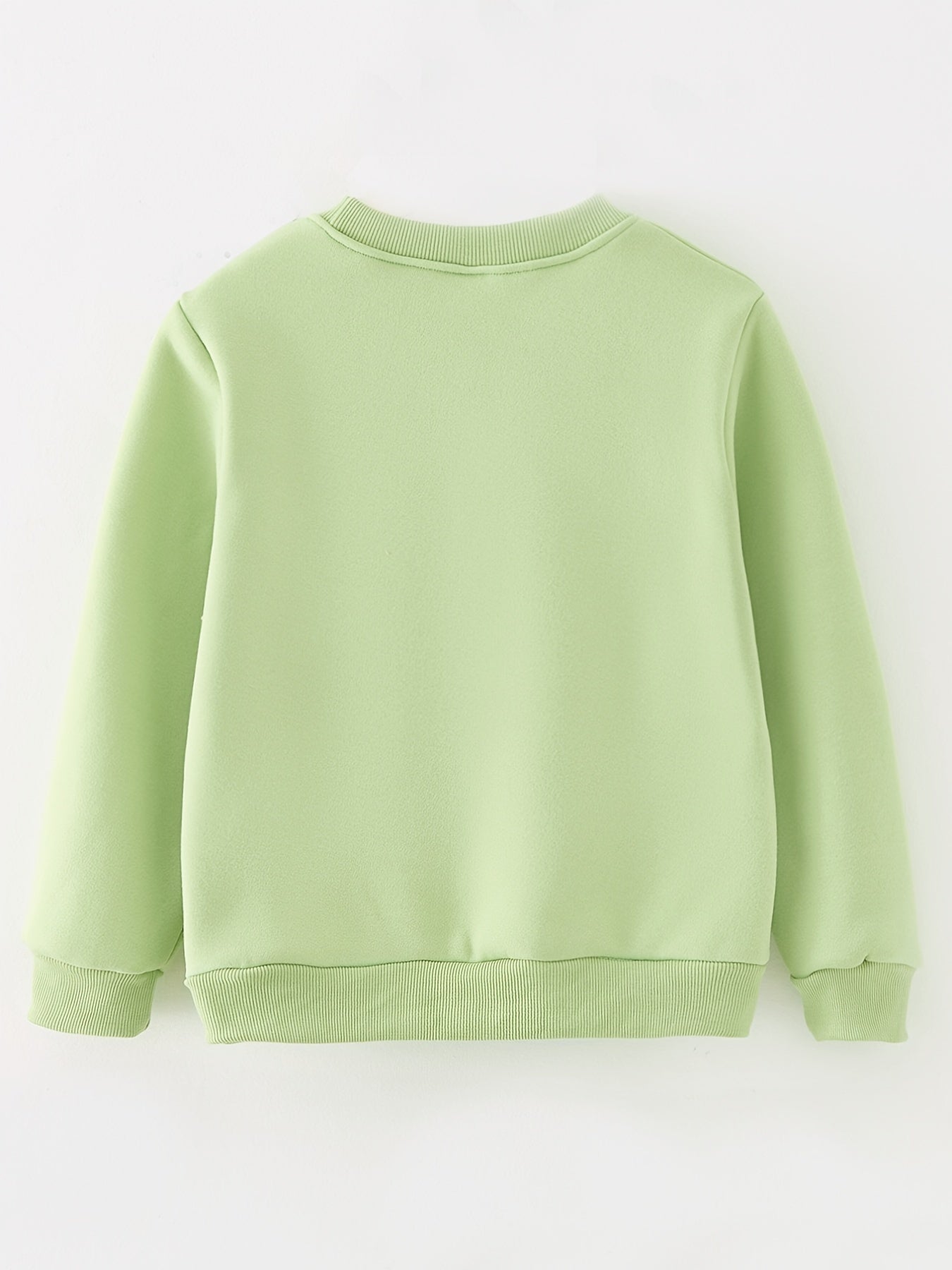 Boys' Casual Sweater with Long Sleeves and Graphic Pattern Round Neck - Leandro