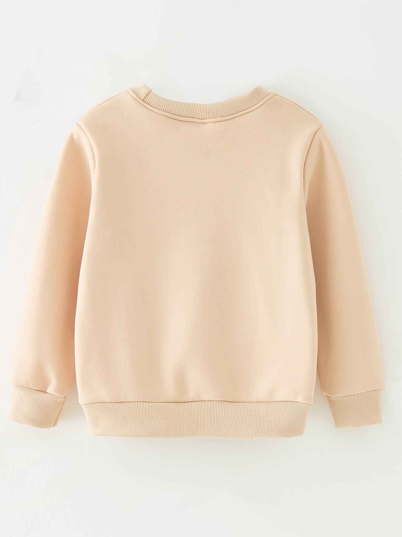 Boys' Casual Sweater with Long Sleeves and Graphic Pattern Round Neck - Leandro