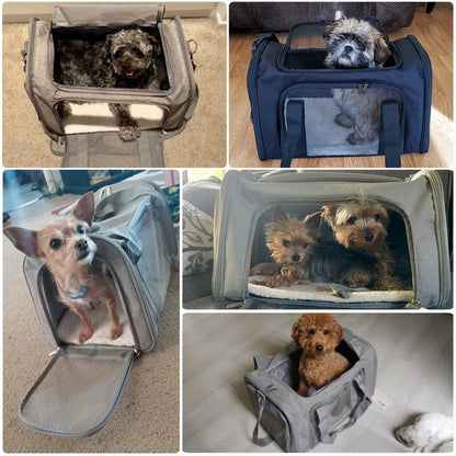 CarryPETS - Pet Carrier Bag for Small Animals