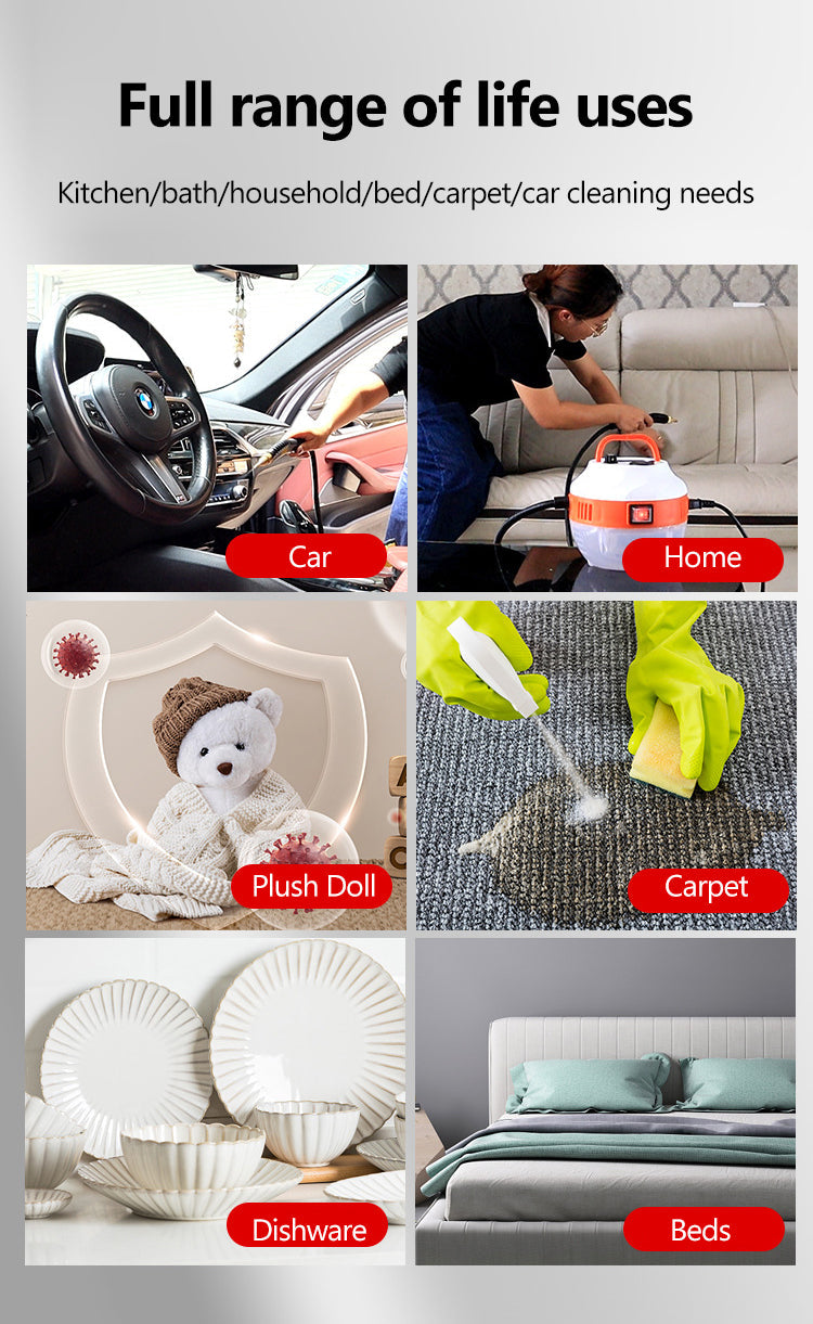 Cleenerz - Innovative Steam Cleaner 2800W for Car and Home