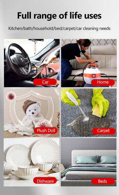 Cleenerz - Innovative Steam Cleaner 2800W for Car and Home