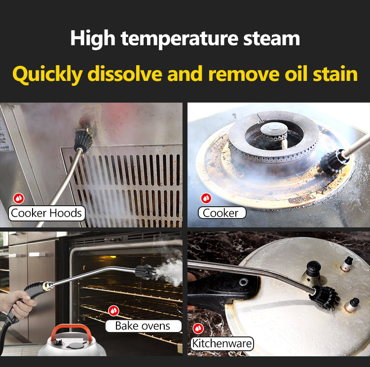 Cleenerz - Innovative Steam Cleaner 2800W for Car and Home