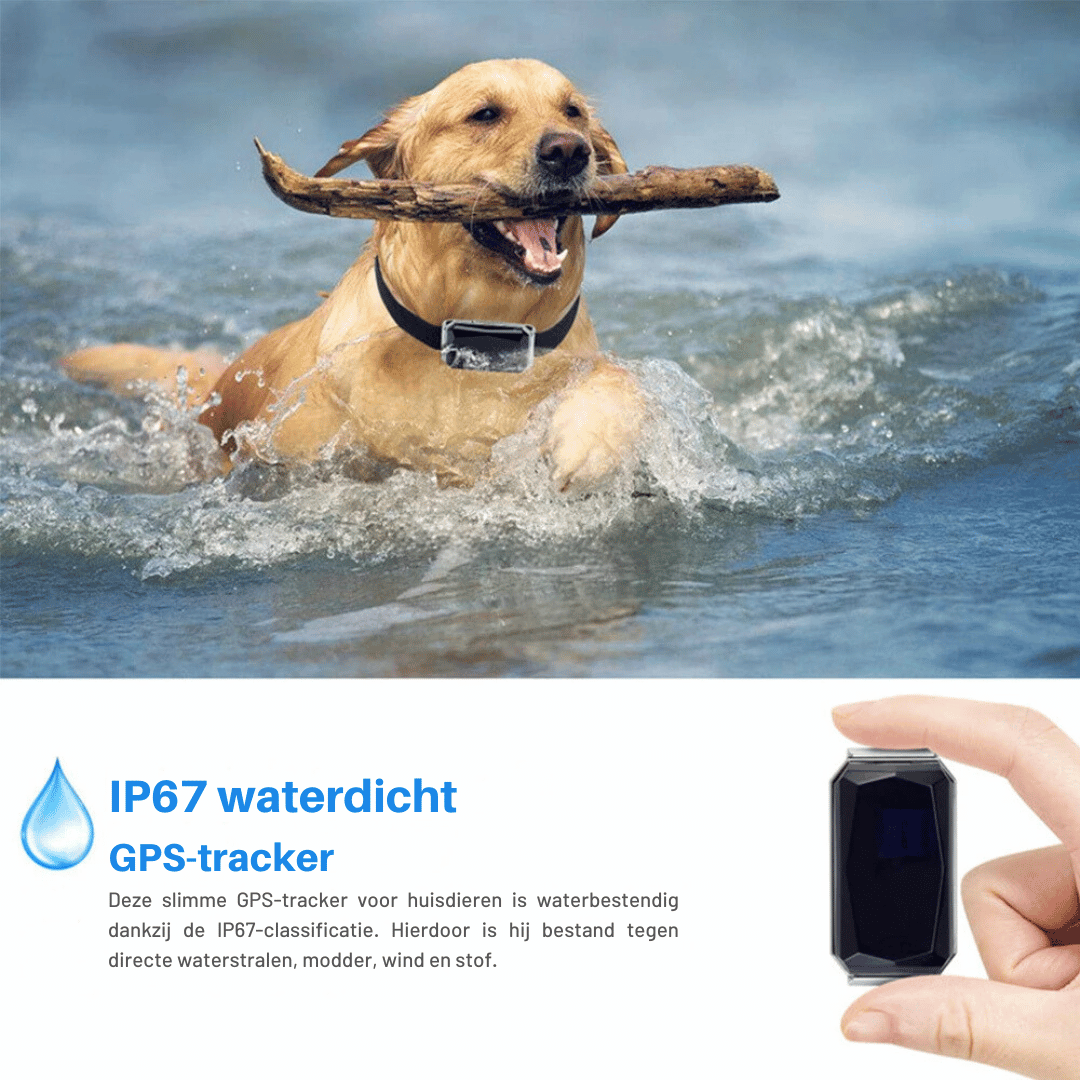 Mini GPS Tracker | Real-Time - Waterproof - Pets and Children