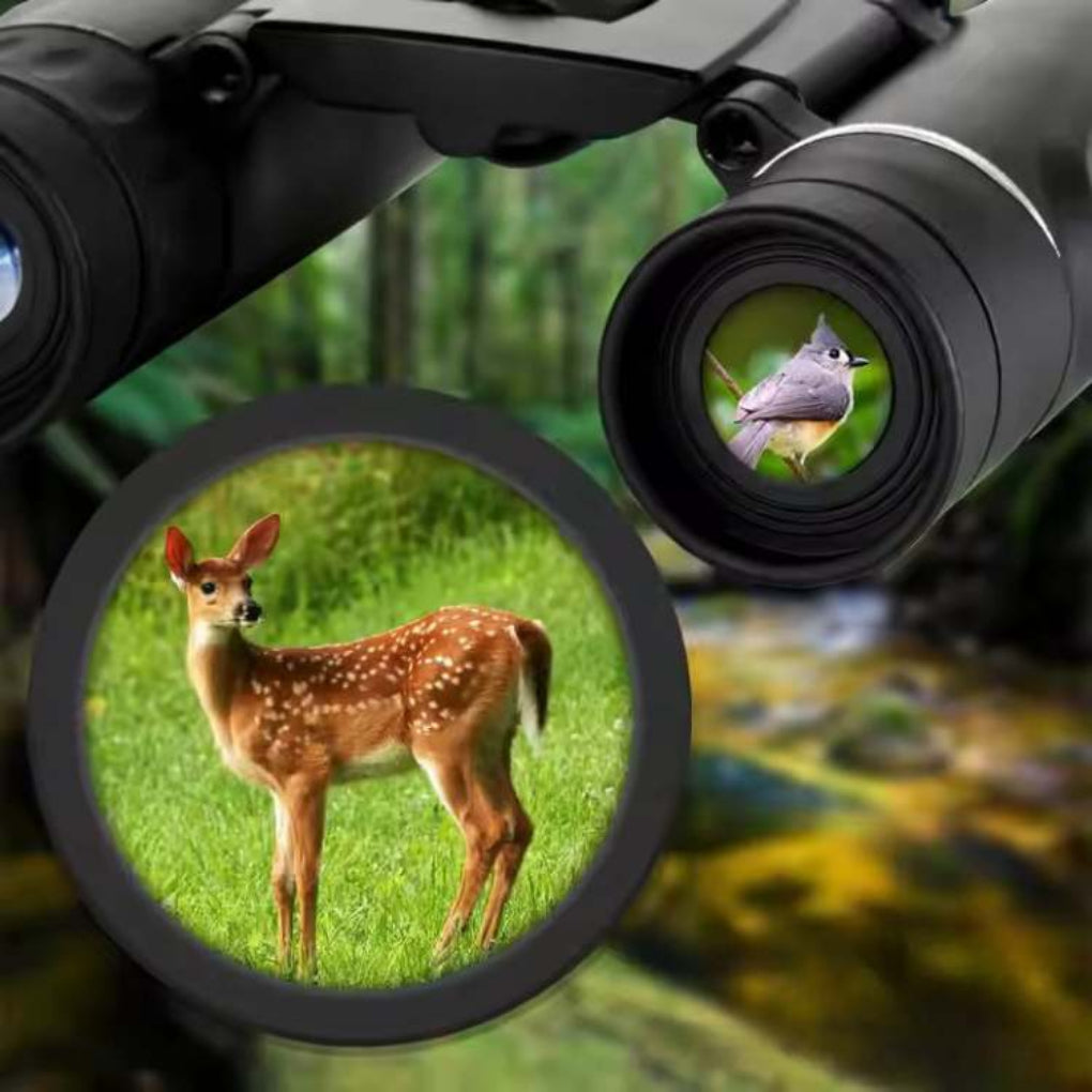 EagleEye 40x22 HD binoculars for bird watching with long range