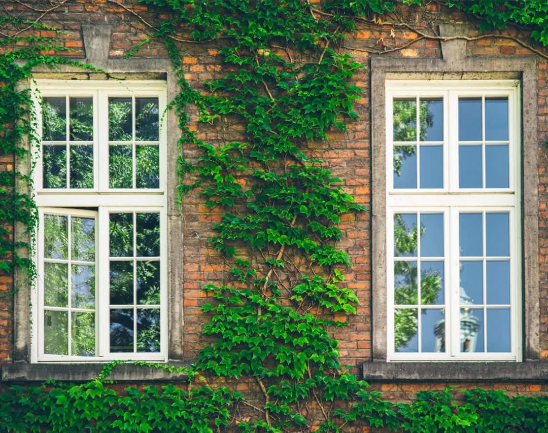 Reflective Window Film - Enjoy Privacy