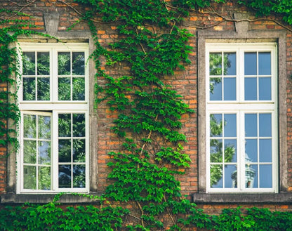 Reflective Window Film - Enjoy Privacy