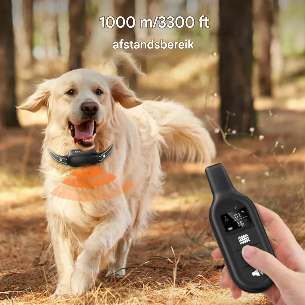 Electric Dog Training Collar with Remote Control