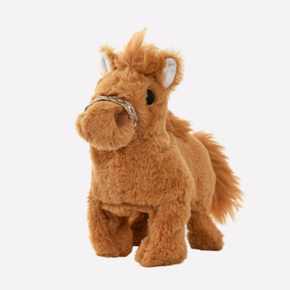Interactive Dog Toy
