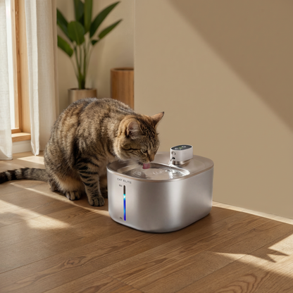 Automatic Drinking Fountain for Pets