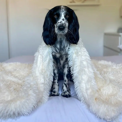 Plüsch-Hundedecke mit weichen Fasern – Komfort und Geborgenheit für Hunde
