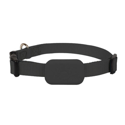GPS Tracker for Dogs and Cats - Collar with GPS Tracker