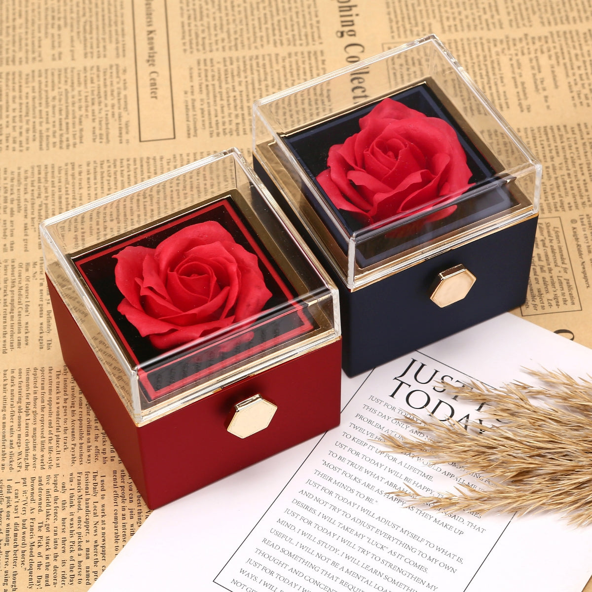 Gift Set with Real Rose & Double Heart Necklace