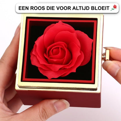 Gift Set with Real Rose & Double Heart Necklace