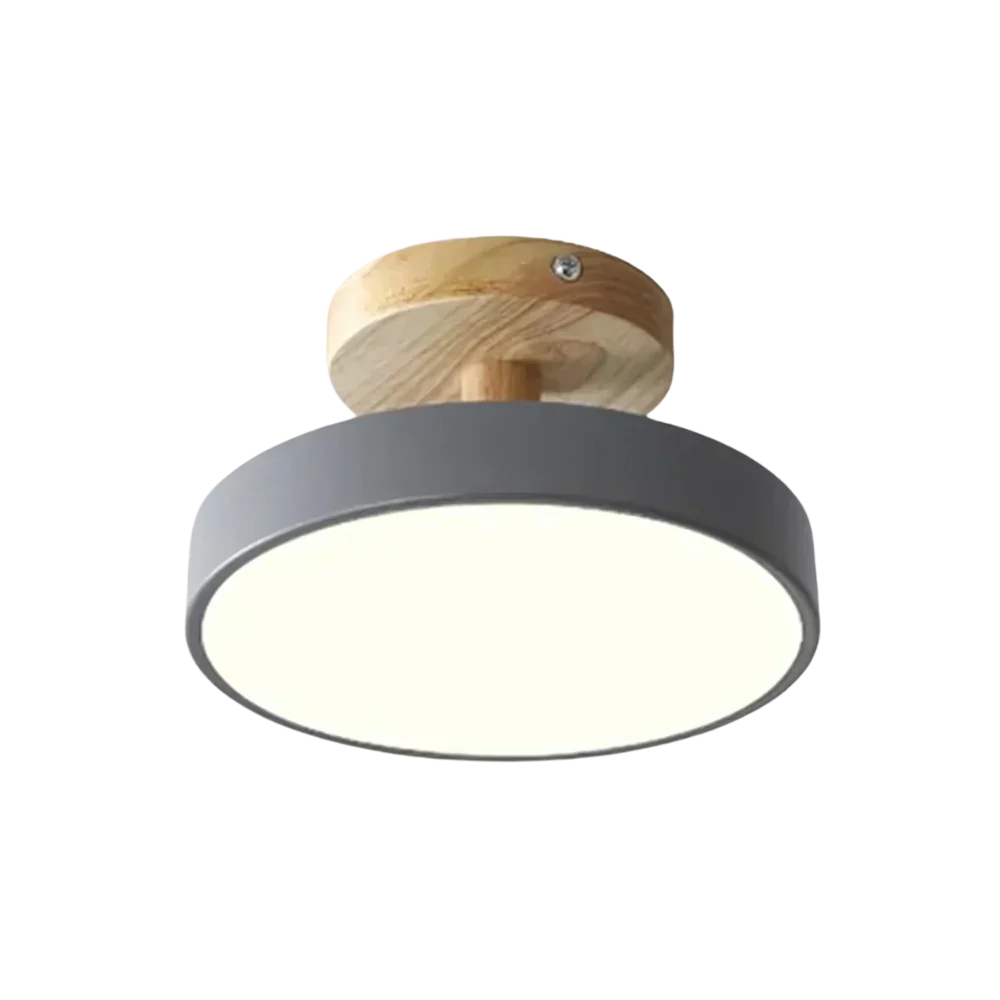 Modern Floor Lamp with LED and Colour Options