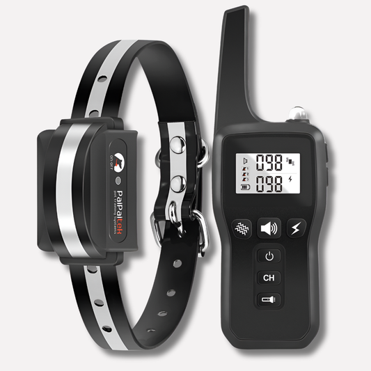 Collar para perro impermeable de 1000 m, recargable, con control remoto