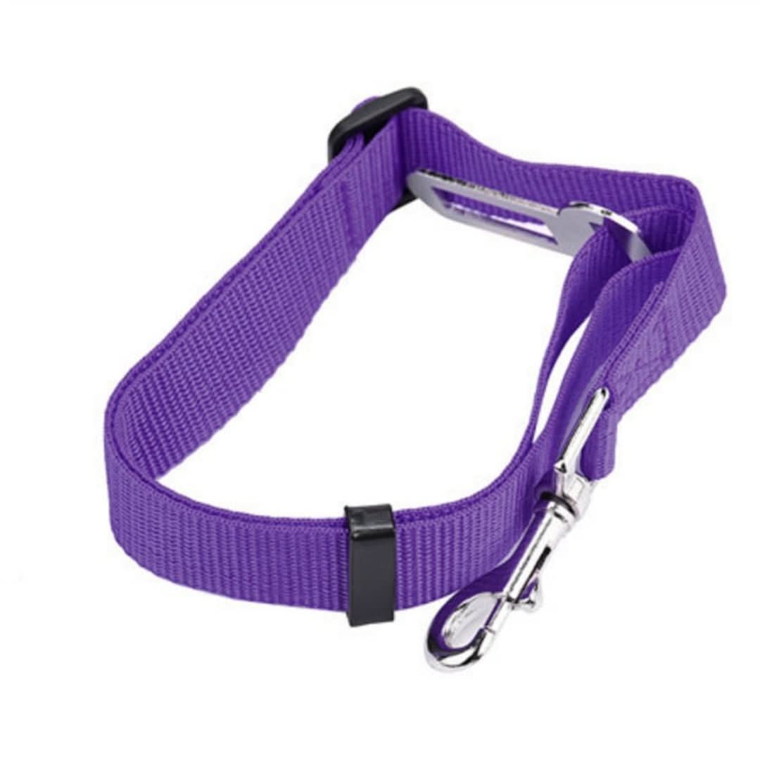 PetSafe - Cinto de segurança para o seu amigo de quatro patas!