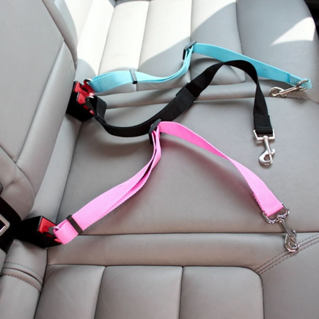 PetSafe - Safety Belt for Your Four-Legged Friend!