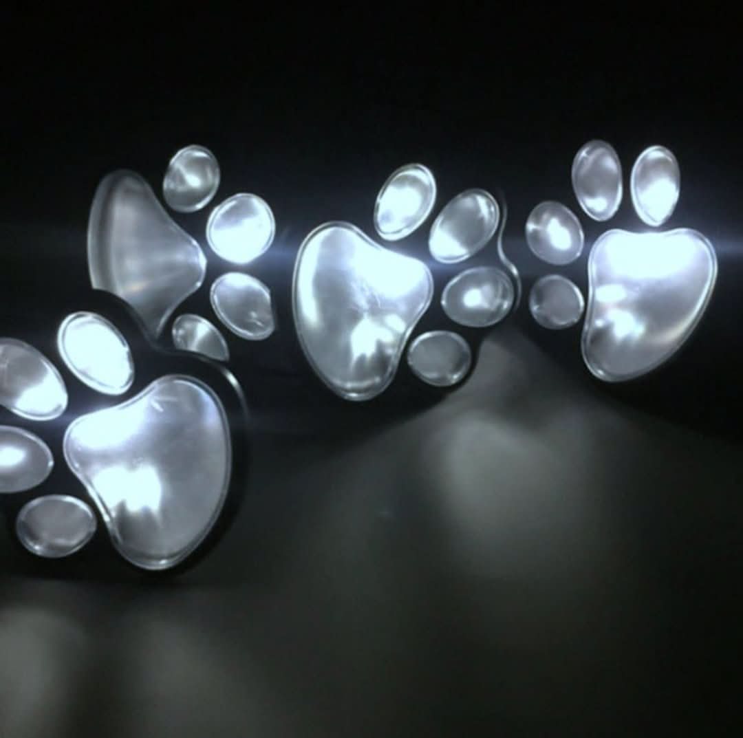PawLight - Solar Garden Lighting