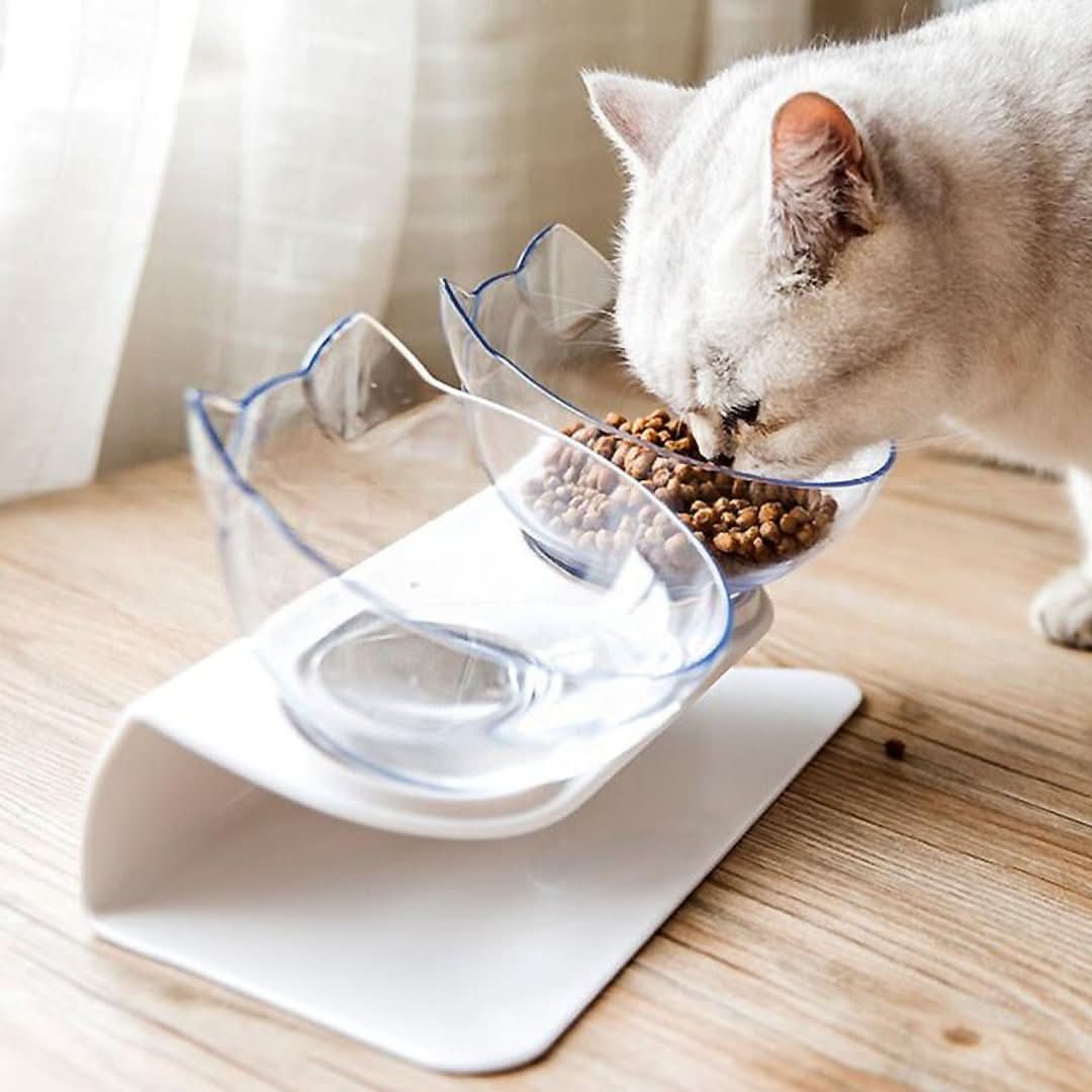 Ergonomic Cat Food Bowl