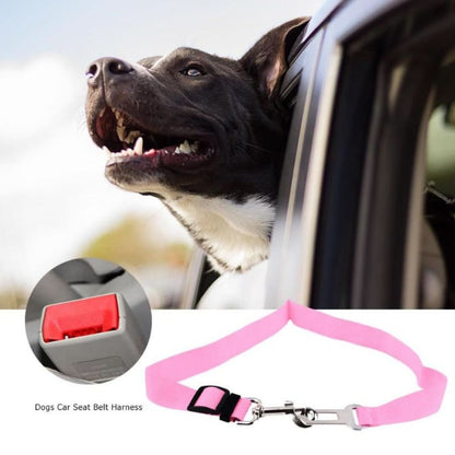 PetSafe - Safety Belt for Your Four-Legged Friend!