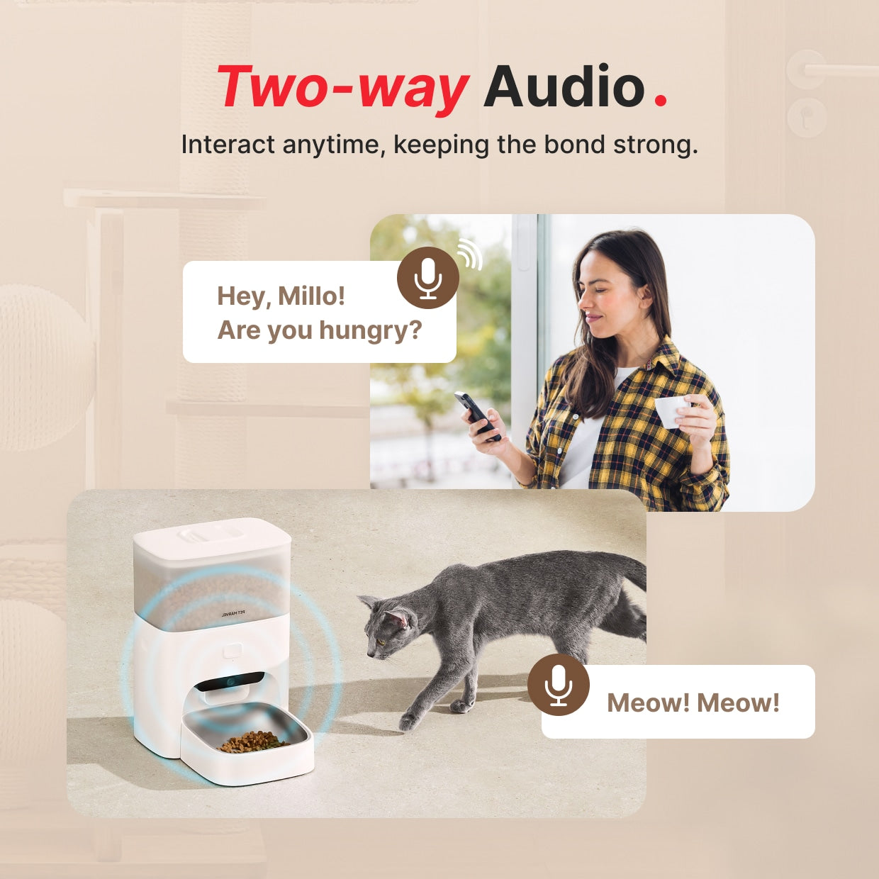 Petdiary – Smart Automatic Cat Feeder with Camera