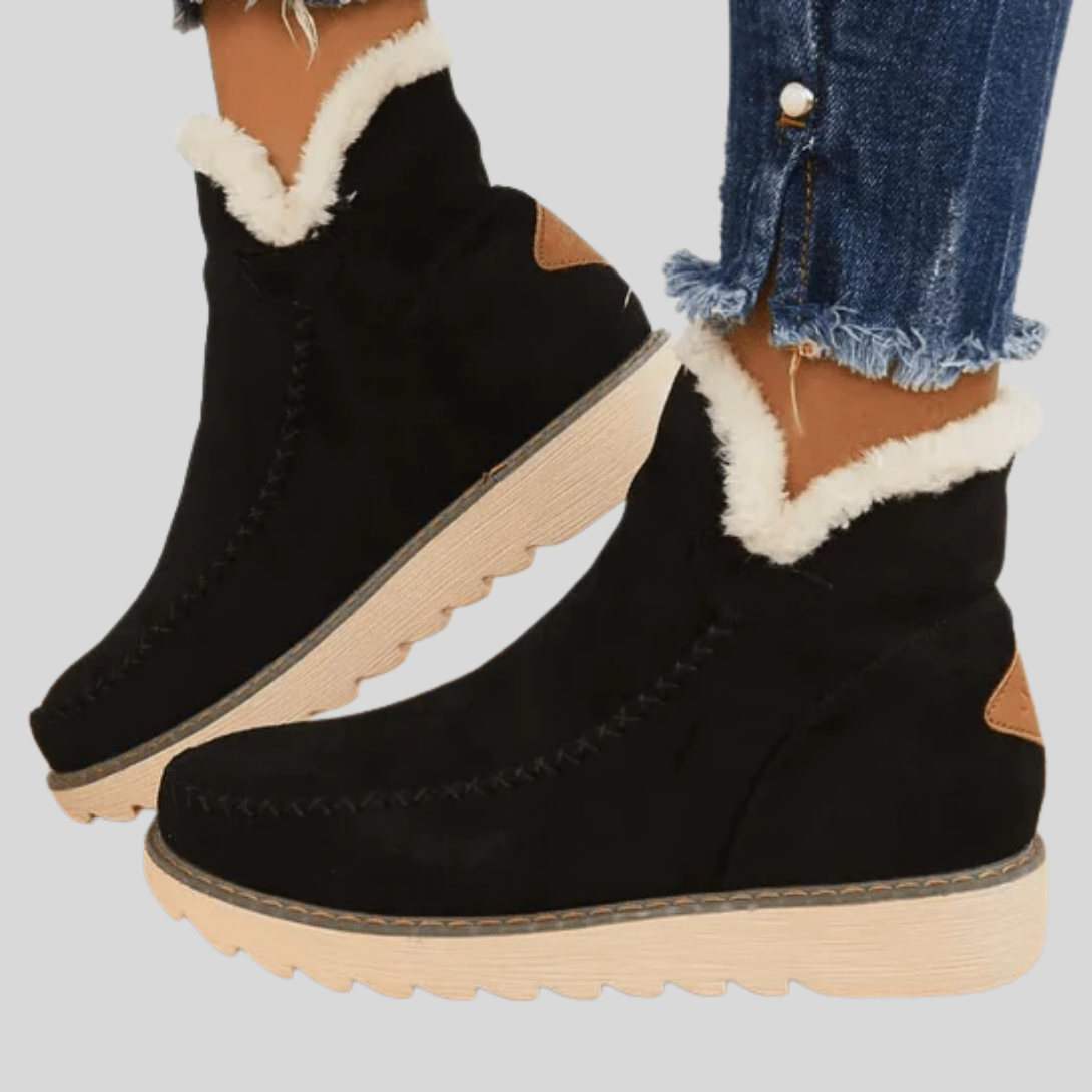 Isolated Winter Ankle Boots for Women
