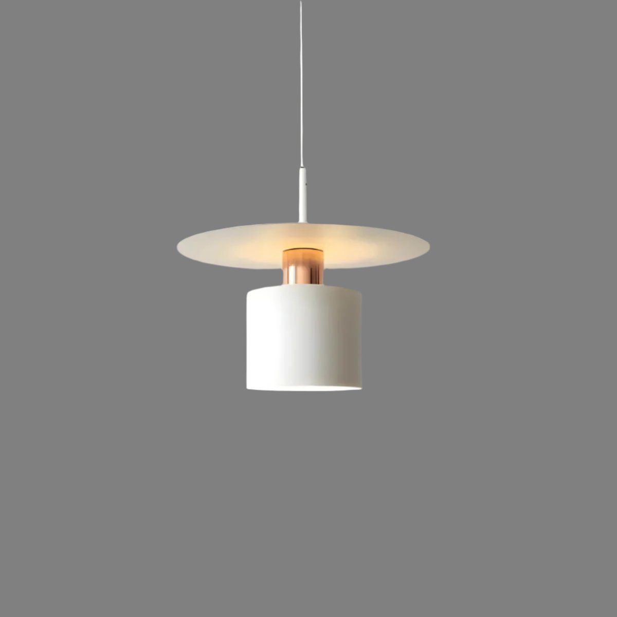 Modern LED Pendant Lamp