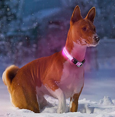 HondVeilig Pro - LED Dog Collar - Feel Safe and Stylish While Walking Your Dog