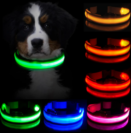 HondVeilig Pro - LED Dog Collar - Feel Safe and Stylish While Walking Your Dog