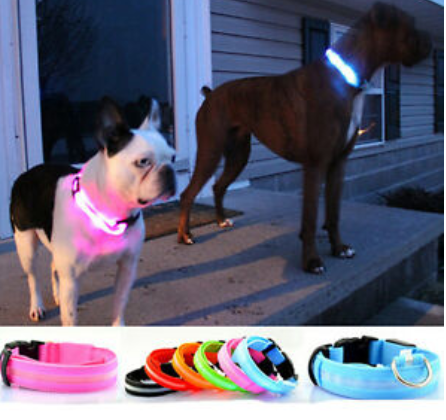 HondVeilig Pro - LED Dog Collar - Feel Safe and Stylish While Walking Your Dog