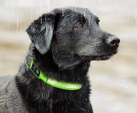HondVeilig Pro - LED Dog Collar - Feel Safe and Stylish While Walking Your Dog