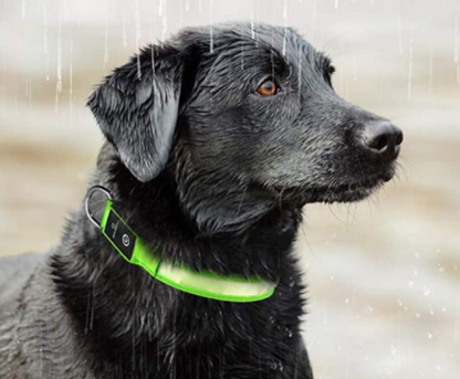 HondVeilig Pro - LED Dog Collar - Feel Safe and Stylish While Walking Your Dog