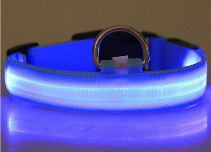 HondVeilig Pro - LED Dog Collar - Feel Safe and Stylish While Walking Your Dog
