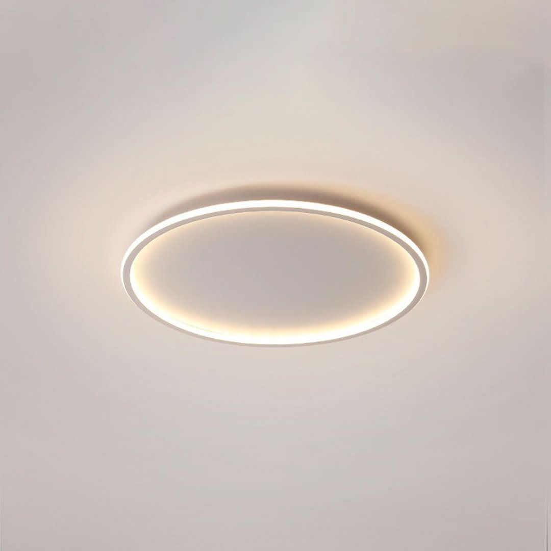 Quinn Modern Round LED Ceiling Light Metal/Acrylic