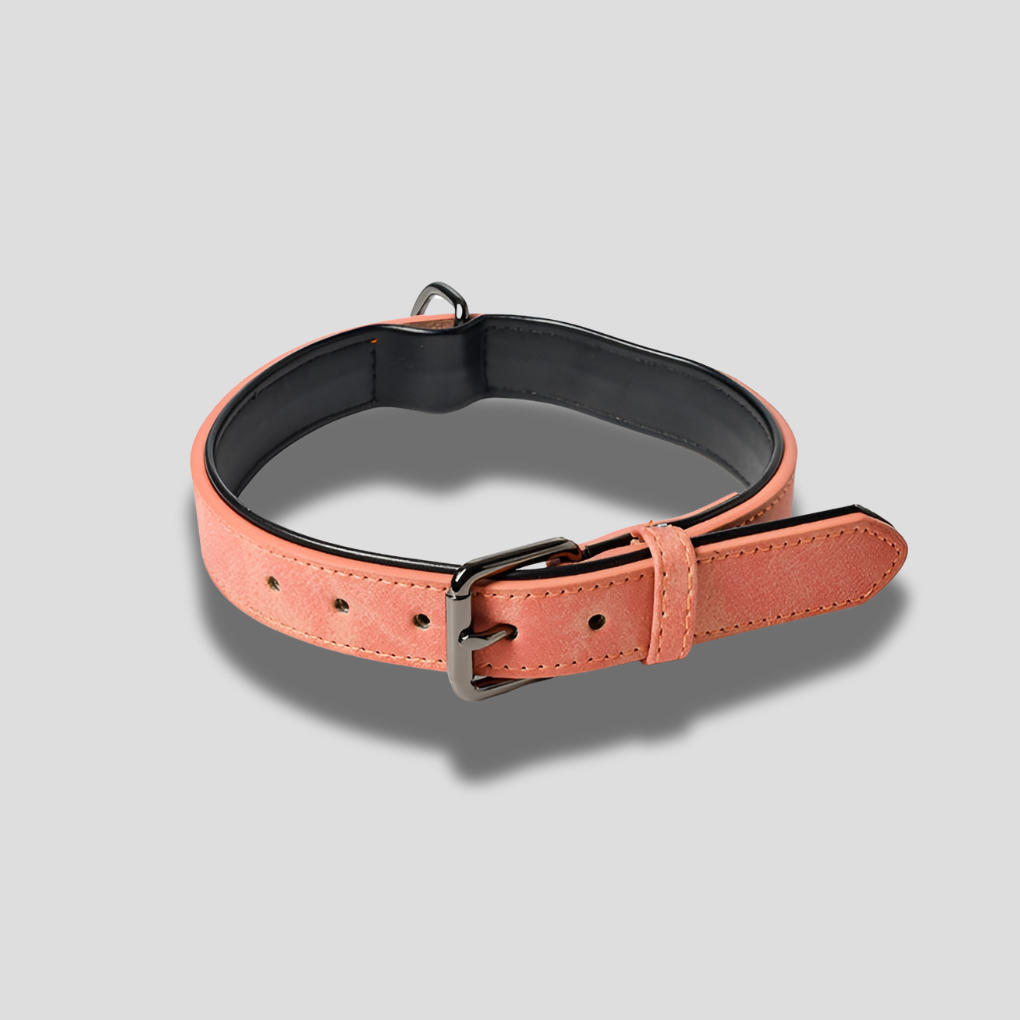 Leather Engraved Dog Collar