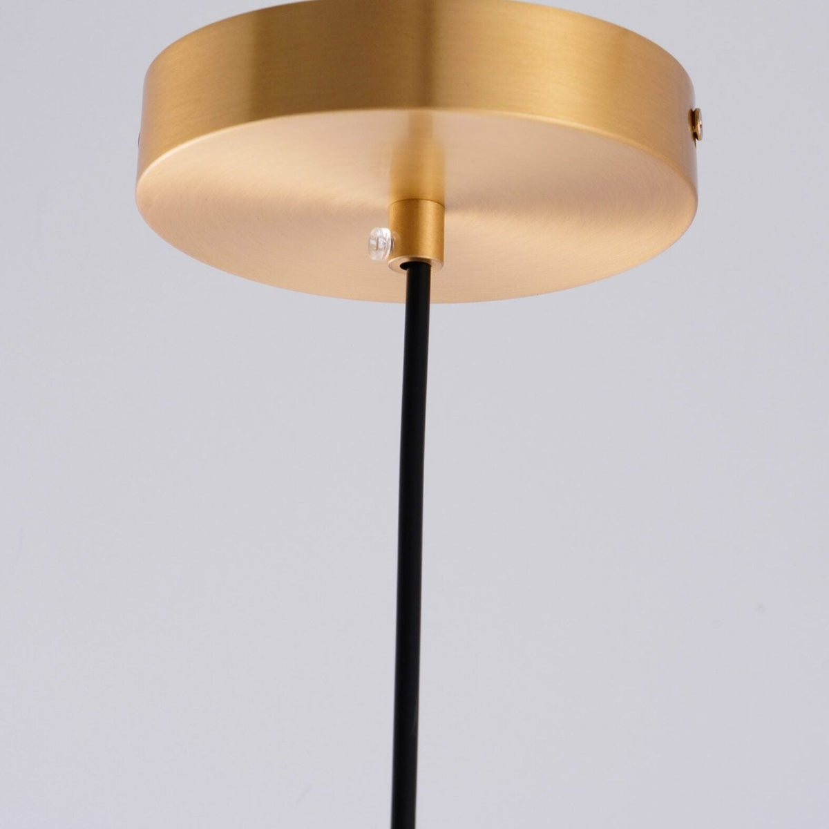 Suspended Lens Flair Pendant Lamp – Luxe & Innovative Design